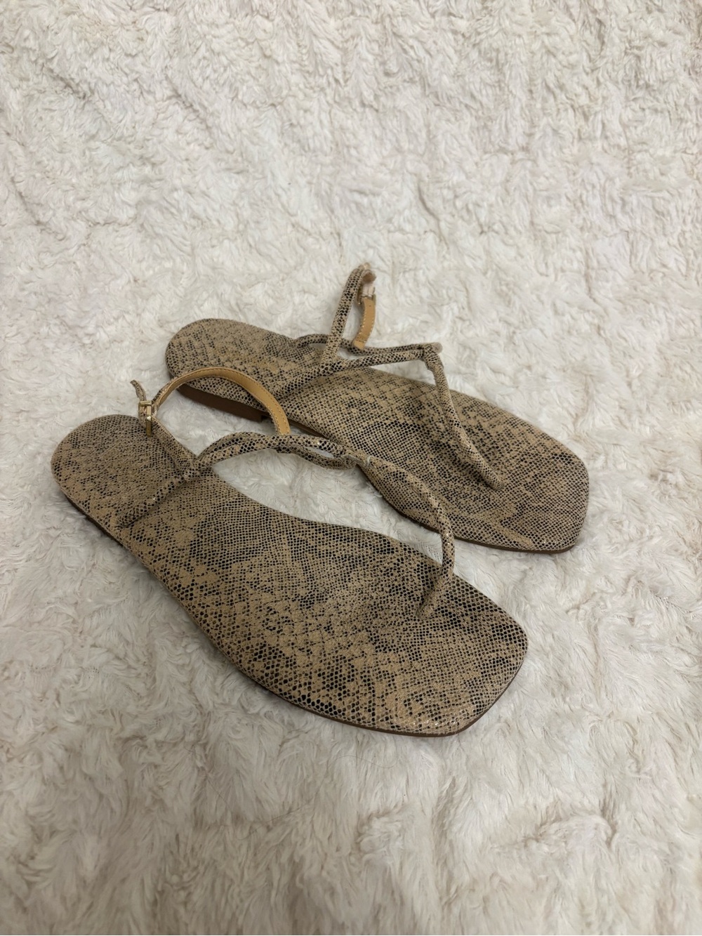 Express Women's Snake-Print Thong Sandals in Beige